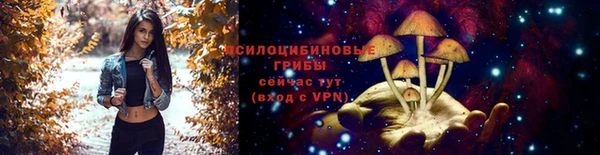 соль ск Мегион