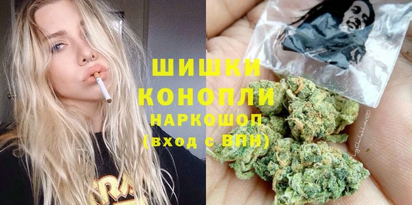 Альфа ПВП Медногорск
