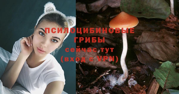 каннабис Майский