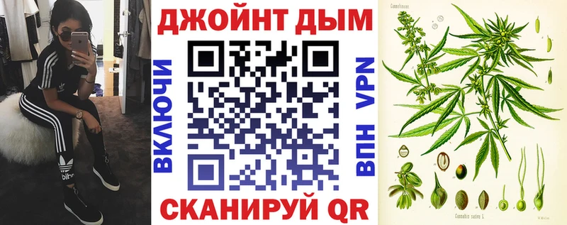 Купить  Короча  Бошки Шишки ГИДРОПОН 